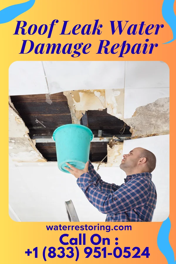 Roof Leak Water Damage Repair in West Allis, WI