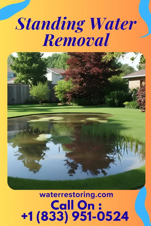 Standing Water Removal in West Allis, WI